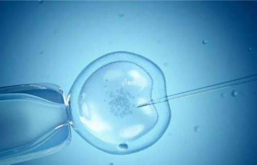 银川供卵安全吗？塞上江南的生殖医学新篇章