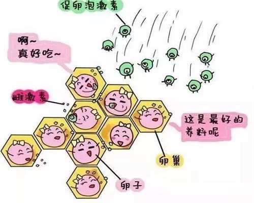 嘉兴私家助孕机构排行