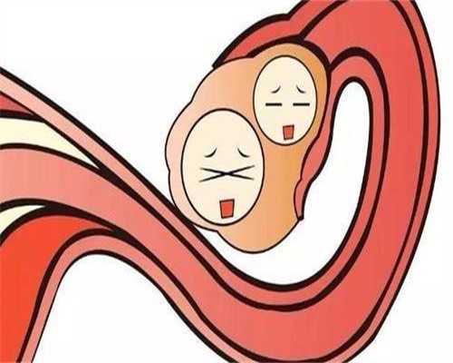 助孕捐卵：免疫力低会影响怀孕吗