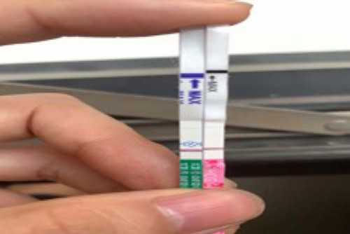 宁波试管正规医院的沿海优势与医疗技术