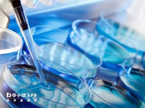 腺肌症闭经针试管：真的可以帮助你成功怀孕吗？