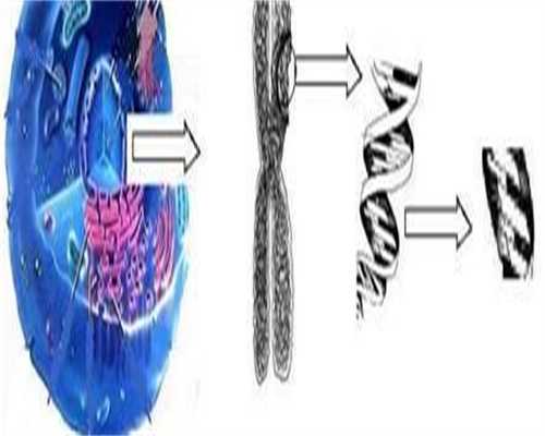 幼稚子宫治疗最佳年龄是多大