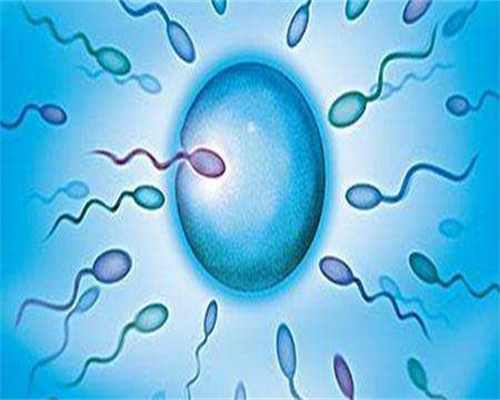 霉菌最怕什么环境？保持高温环境有效抑止生长