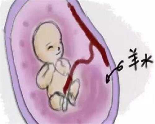 试管与胎儿性别：到底能不能知道？