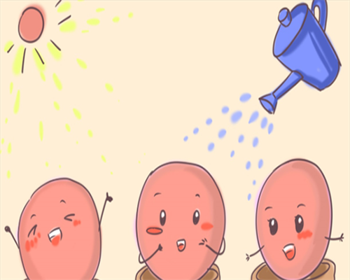 南京卵巢早衰供卵：现状与应对策略