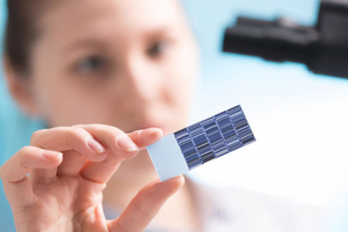 试管选男女：可行还是谣言？