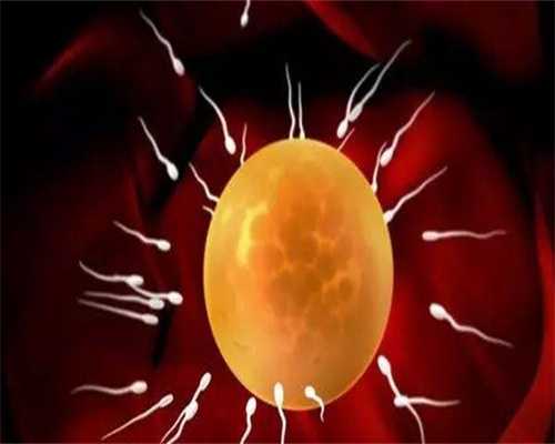 助孕供卵代生：什么是试管婴儿，哪些情况需做试管婴儿你知道吗？